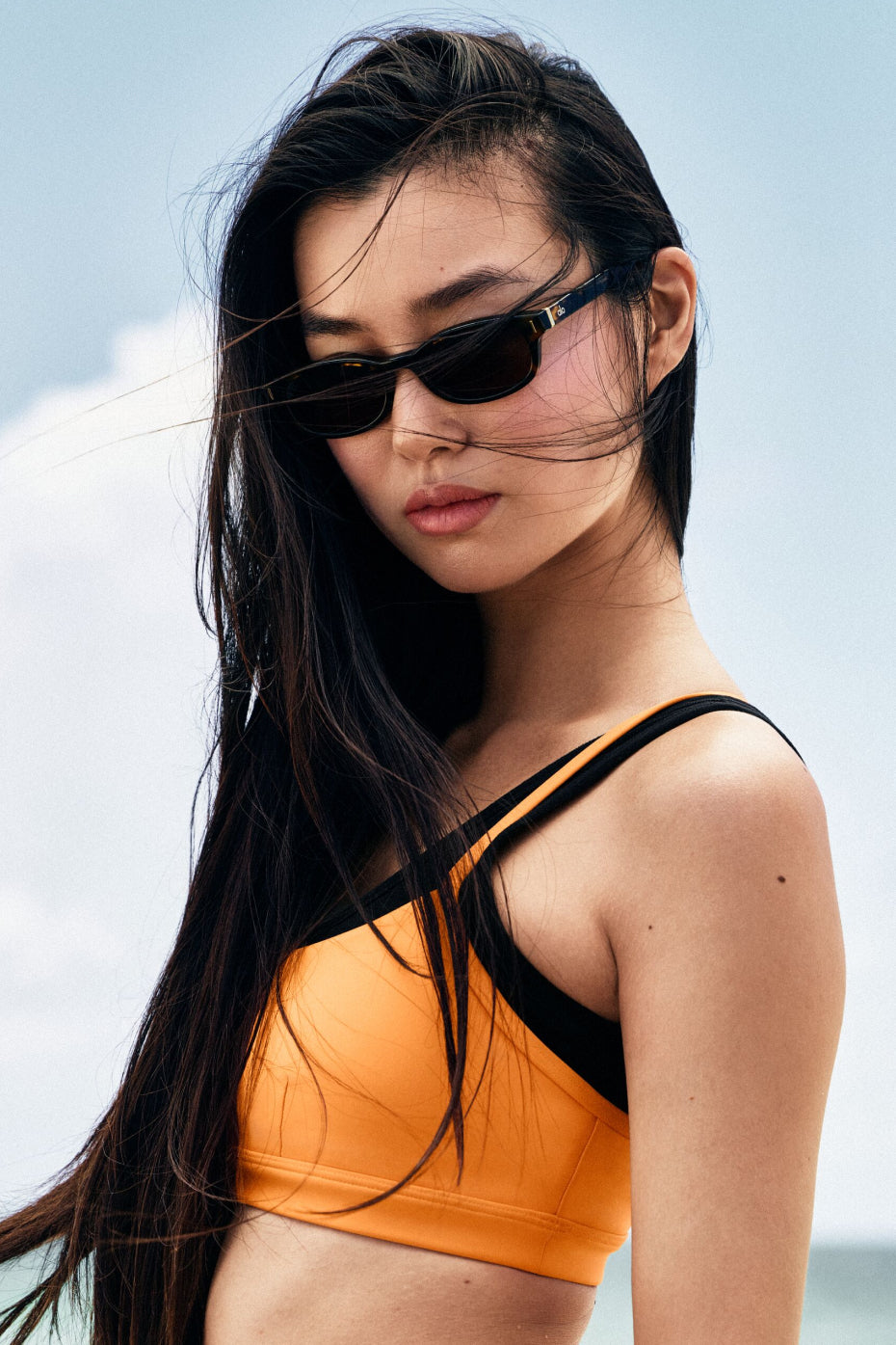 A1132U_07091_b1_s1_a282_dSU26