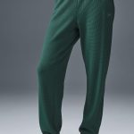 Alo Yoga Waffle Weekend Escape Jogger - Winter Ivy